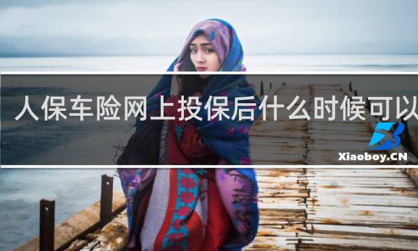 人保车险网上投保后什么时候可以查询
