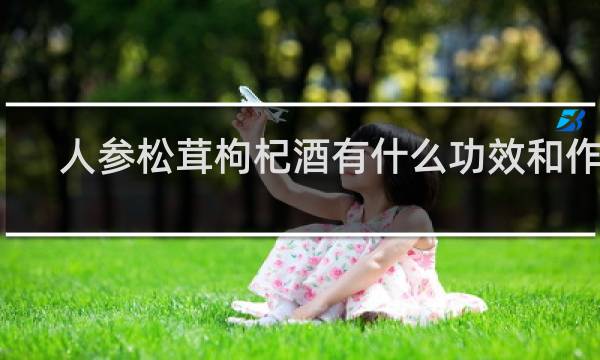 人参松茸枸杞酒有什么功效和作用