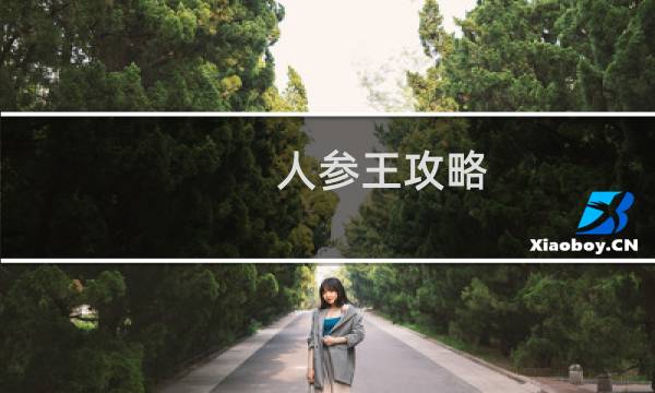 人参王攻略