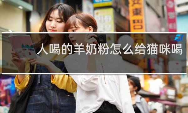 人喝的羊奶粉怎么给猫咪喝