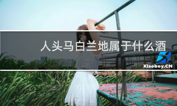 人头马白兰地属于什么酒