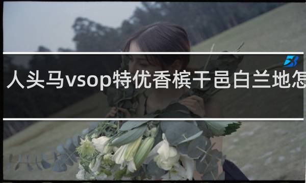 人头马vsop特优香槟干邑白兰地怎么喝
