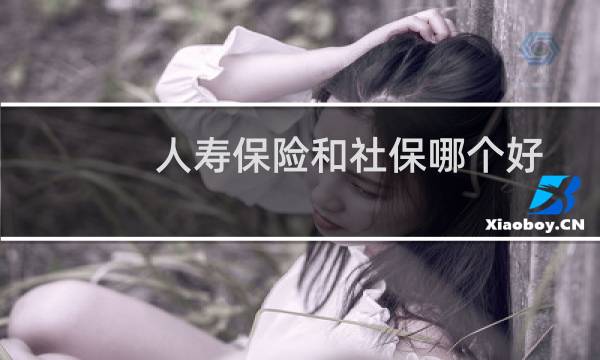 人寿保险和社保哪个好
