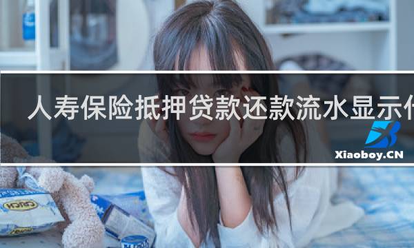 人寿保险抵押贷款还款流水显示什么