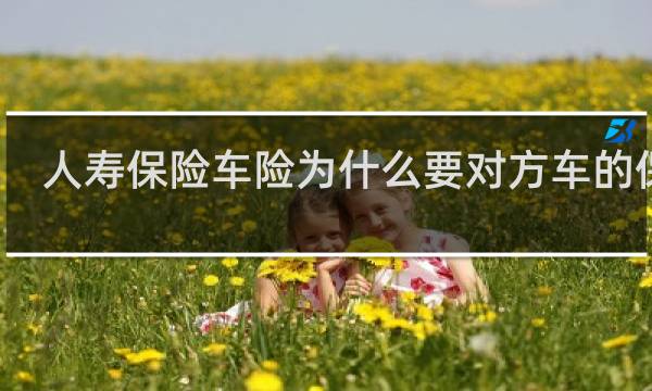 人寿保险车险为什么要对方车的保单