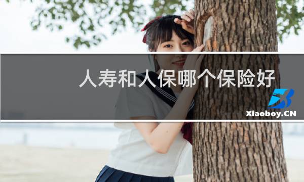 人寿和人保哪个保险好