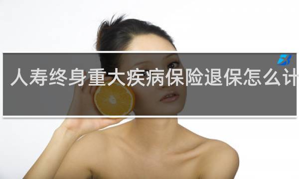 人寿终身重大疾病保险退保怎么计算的