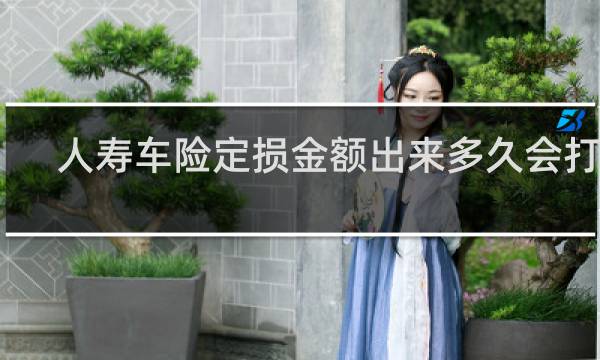 人寿车险定损金额出来多久会打款