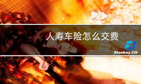 人寿车险怎么交费