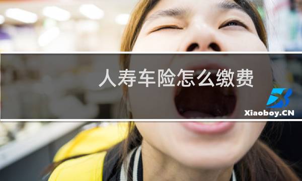 人寿车险怎么缴费