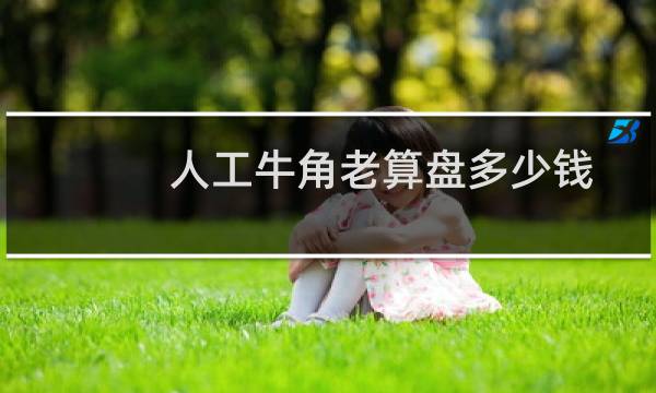 人工牛角老算盘多少钱