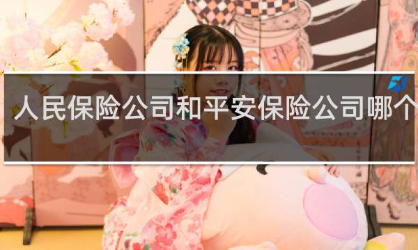 人民保险公司和平安保险公司哪个更好