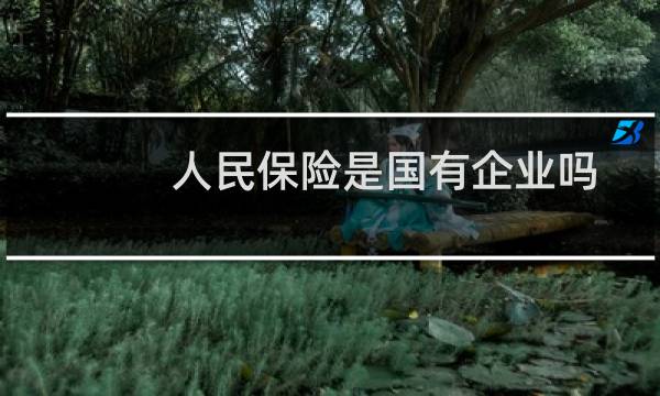 人民保险是国有企业吗