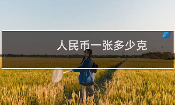 人民币一张多少克