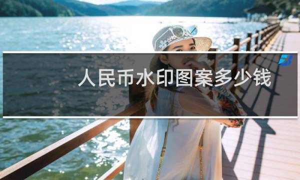 人民币水印图案多少钱