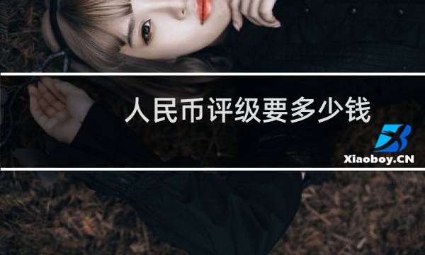 人民币评级要多少钱