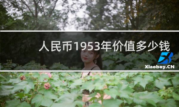 人民币1953年价值多少钱