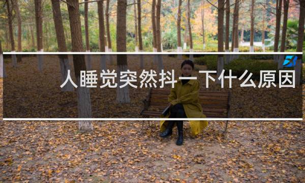 人睡觉突然抖一下什么原因