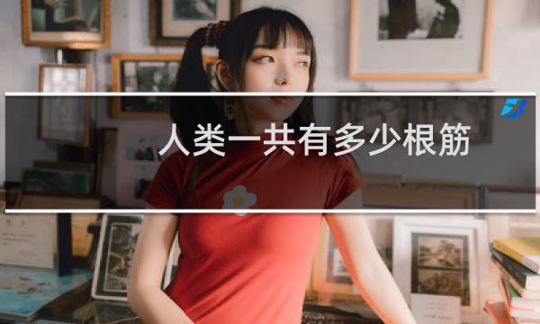 人类一共有多少根筋