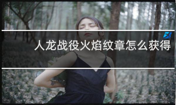 人龙战役火焰纹章怎么获得