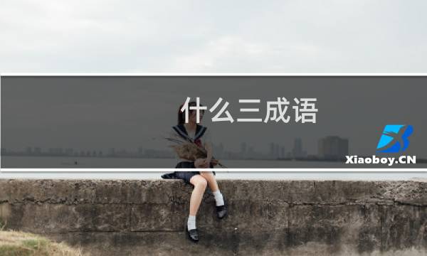 什么三成语
