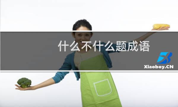 什么不什么题成语