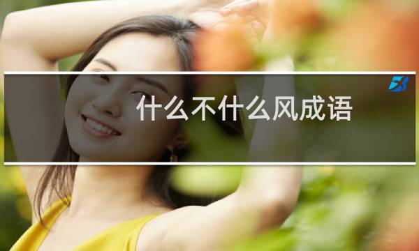 什么不什么风成语