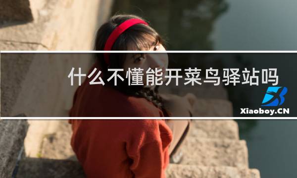 什么不懂能开菜鸟驿站吗