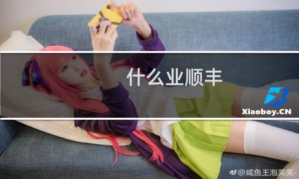 什么业顺丰