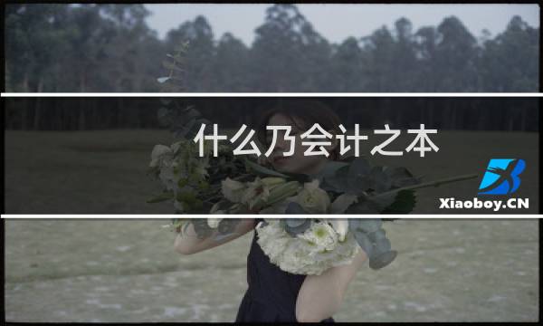 什么乃会计之本