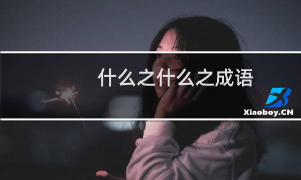 什么之什么之成语