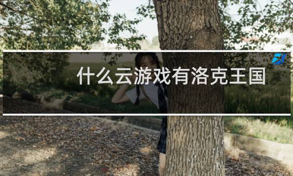 什么云游戏有洛克王国