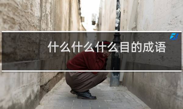 什么什么什么目的成语