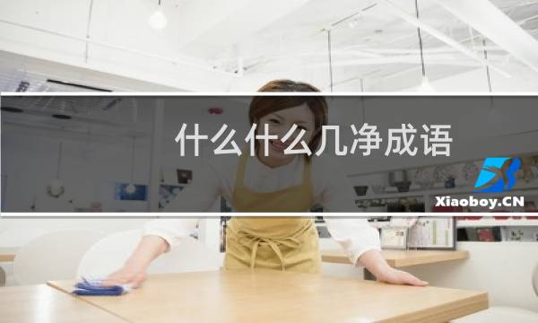 什么什么几净成语