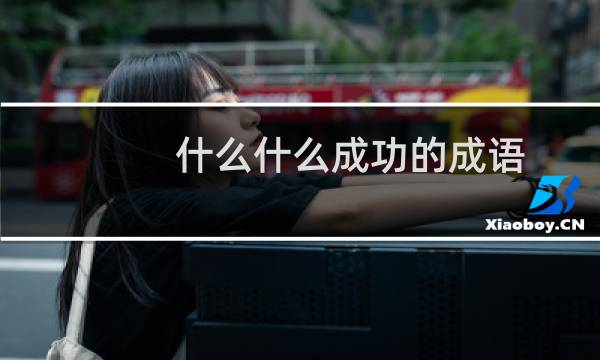 什么什么成功的成语