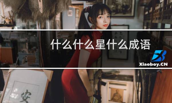 什么什么星什么成语