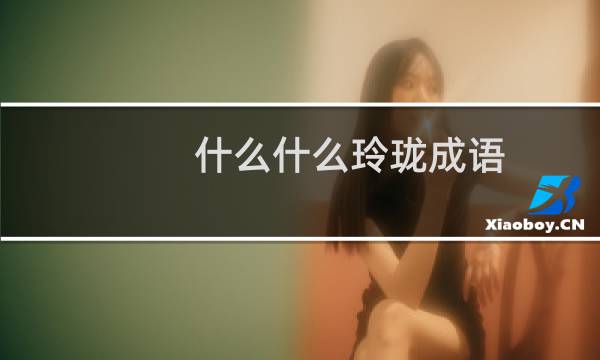 什么什么玲珑成语
