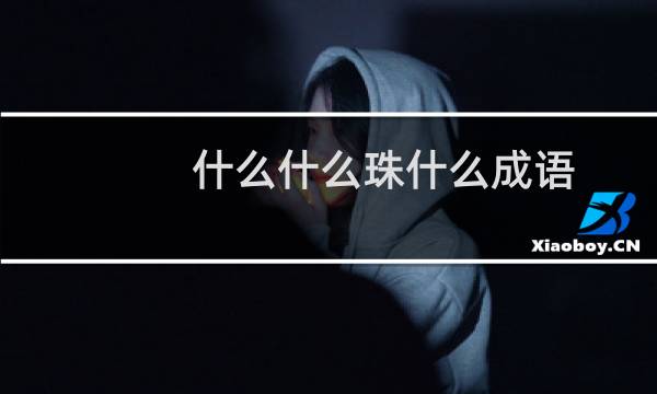 什么什么珠什么成语