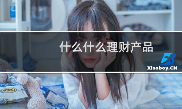 什么什么理财产品