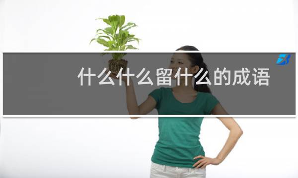 什么什么留什么的成语
