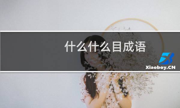 什么什么目成语