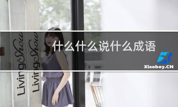 什么什么说什么成语