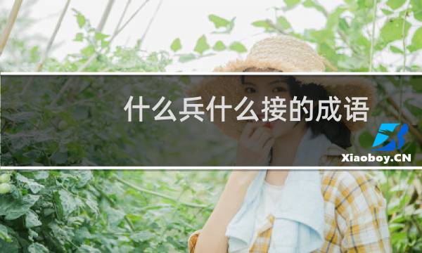 什么兵什么接的成语