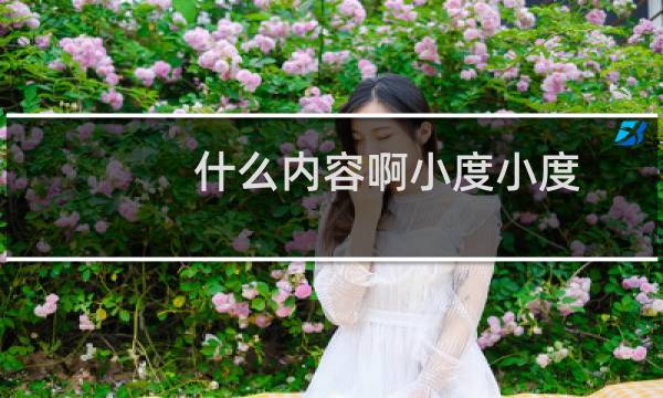 什么内容啊小度小度