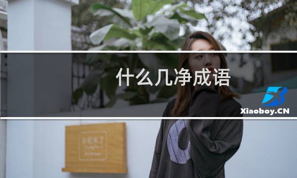 什么几净成语