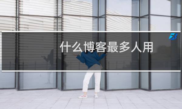 什么博客最多人用