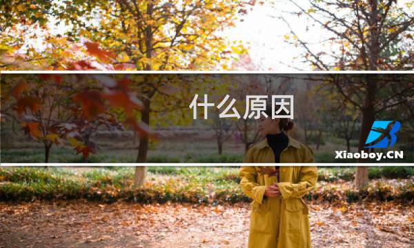 什么原因