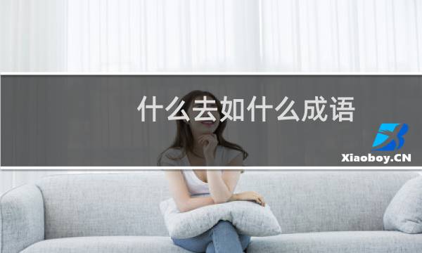 什么去如什么成语