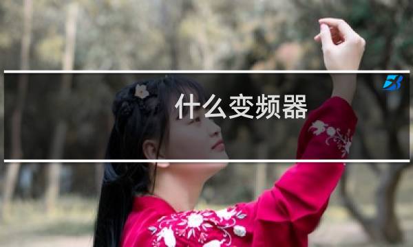 什么变频器