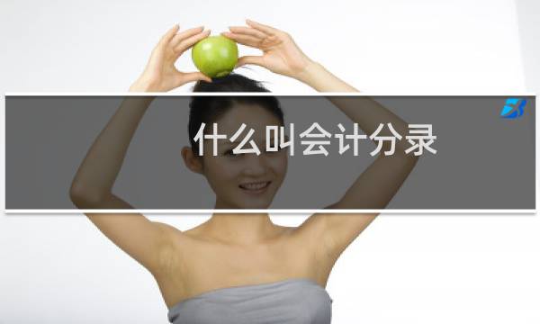 什么叫会计分录